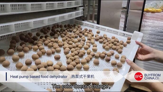 Heat pump based food dehydrator (Drying longan with dryer)